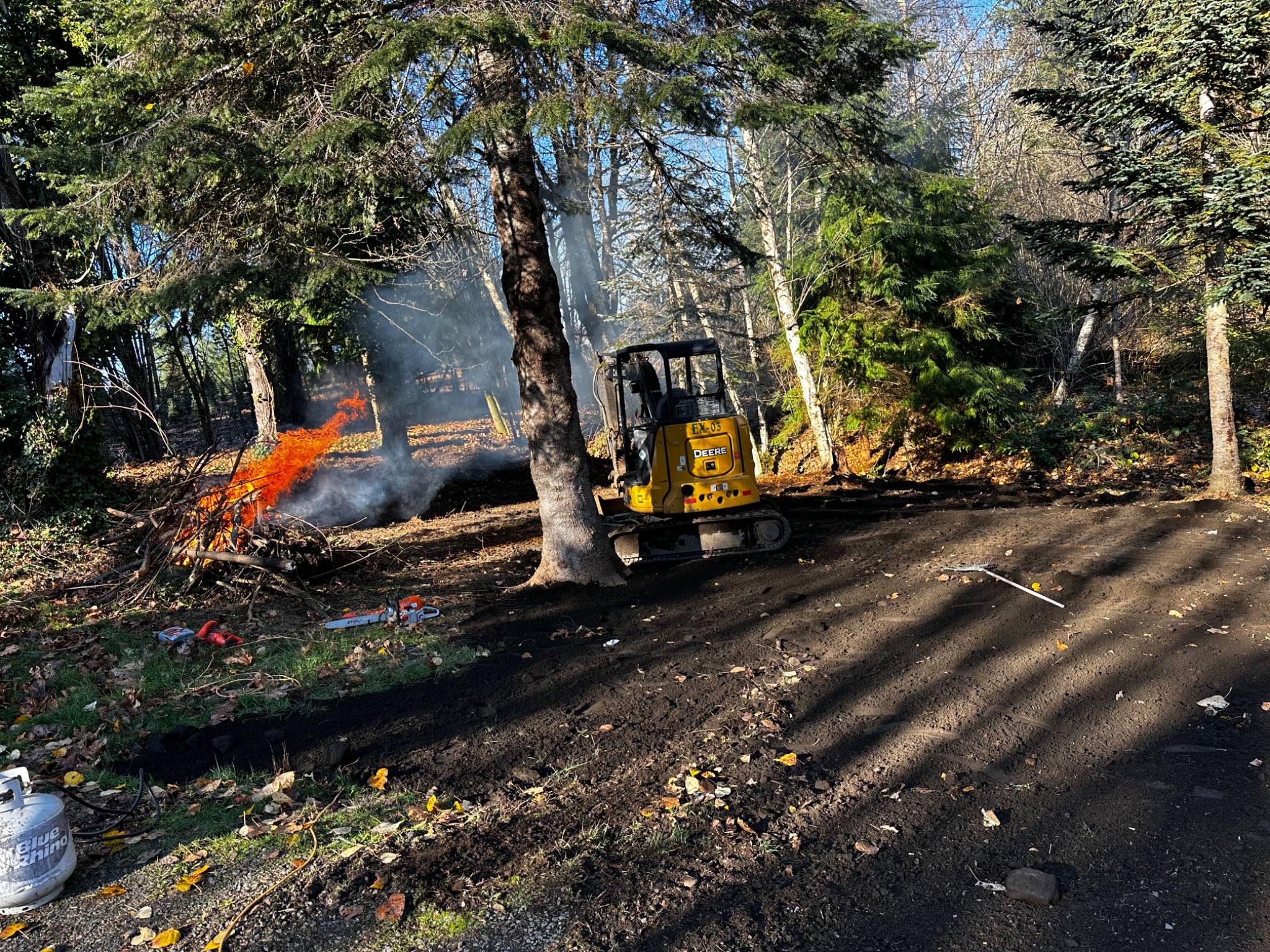 Mini excavator performing land clearing