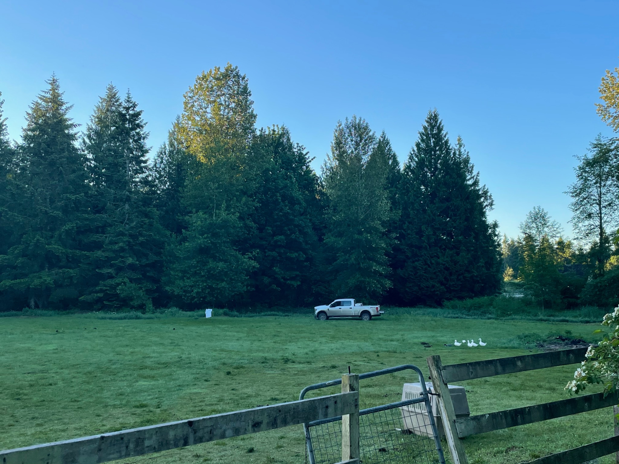 Open property prepared for site work